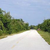 Samy's Bridge and Road