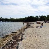 Pennekamp State Park