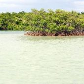 Water-Islands Sugarloaf