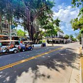 Duval Street (300-400)