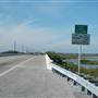 Channel 5 Bridge Saddlebunch