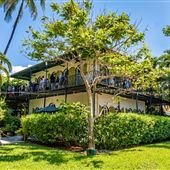 The Hemingway Home and Museum