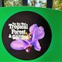 Key West Tropical Forest & Botanical Garden