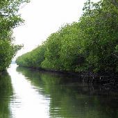 Islamorada Waterways