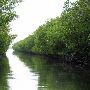 Islamorada Waterways